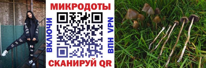 Купить закладки Давлеканово Галлюциногенные грибы ЛСД